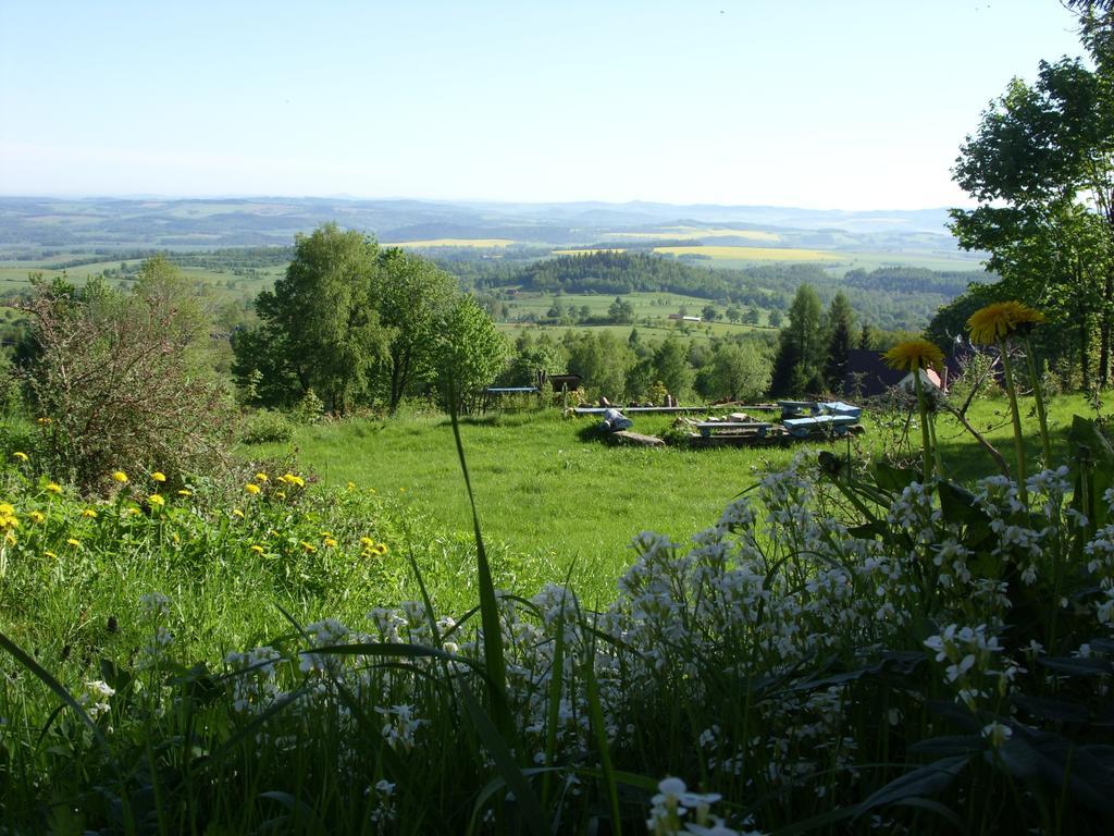 Willa Dom Panorama pod Gwiazdami Kopaniec Pokój zdjęcie